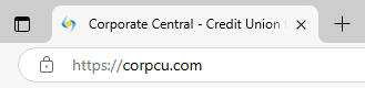 Example of a secure website with lock icon